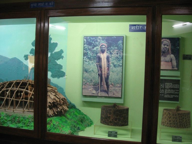 Anthropological_Museum_Port_Blair