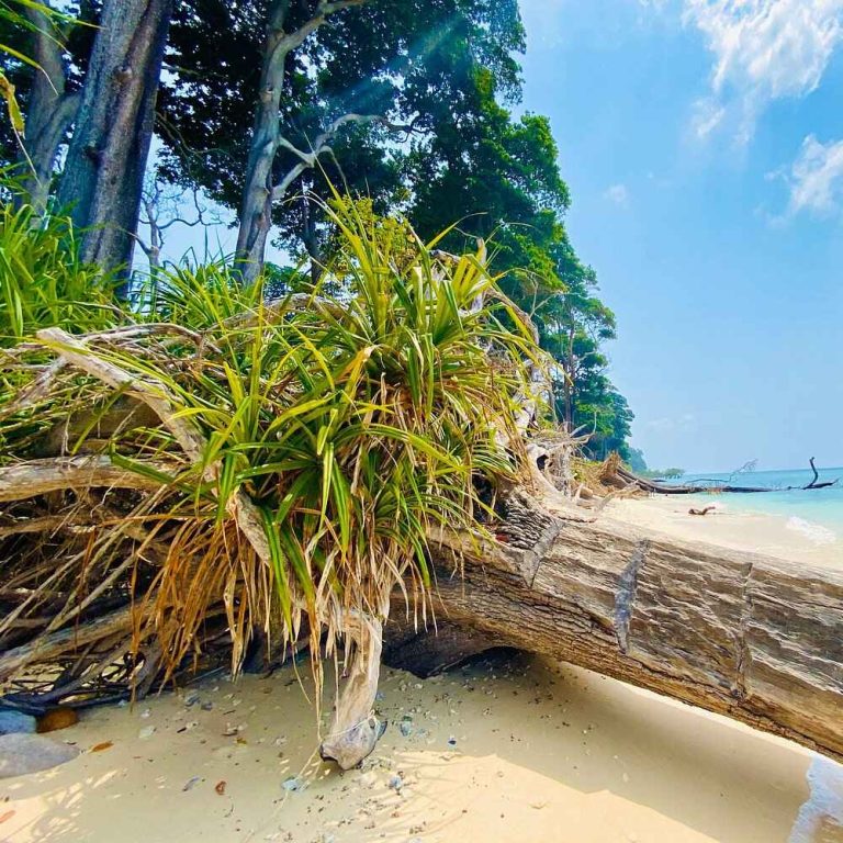 Lakshmanpur_Beach_Neil_Island