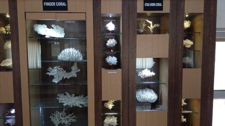 Samudrika_Naval_Marine_Museum_Port_Blair